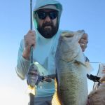 How to Use Low Toxic Baits in Sensitive Zones