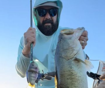 How to Use Low Toxic Baits in Sensitive Zones