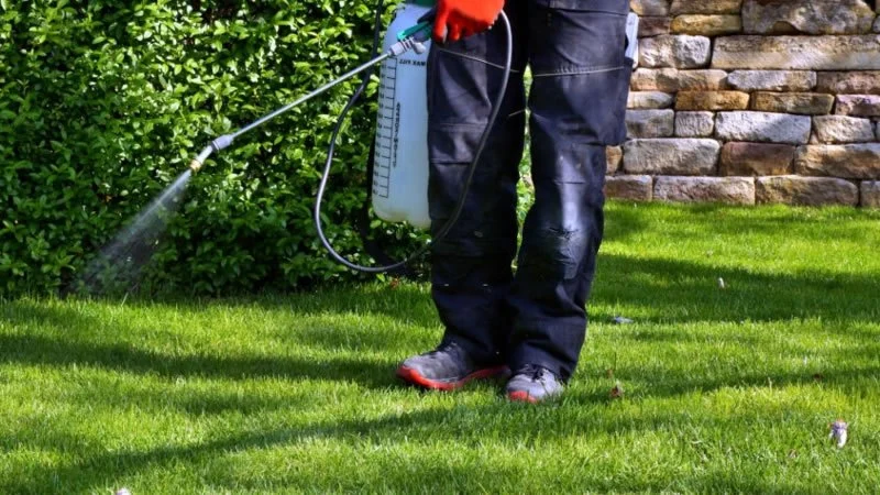 How to Track Pest Control ROI for Homeowners