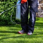 How to Track Pest Control ROI for Homeowners