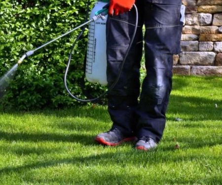 How to Track Pest Control ROI for Homeowners