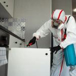 How to Clean After Pest Infestations to Prevent Return