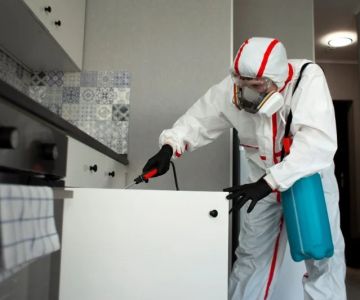 How to Clean After Pest Infestations to Prevent Return