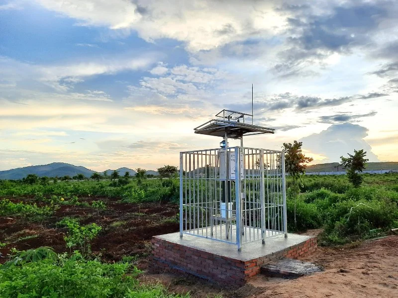 How to Use Remote Monitoring Devices for Insects