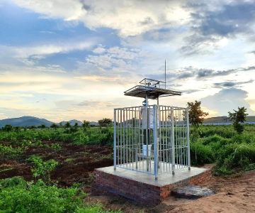 How to Use Remote Monitoring Devices for Insects