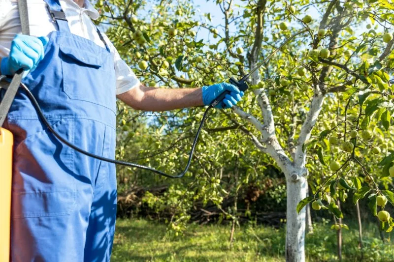 How to Use Targeted Barrier Treatments for Effective Pest Control
