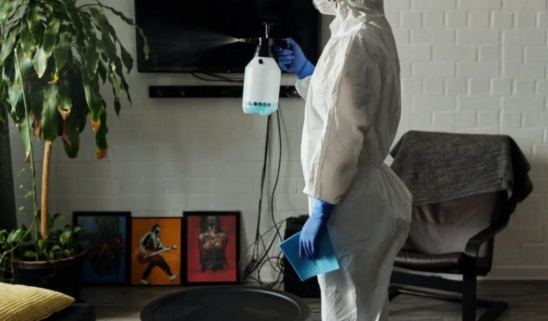 How to Certify a Pest-Free Home for Resale