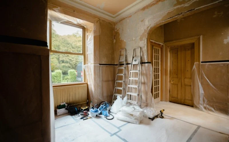 How to Control Pests During Remodeling Projects