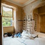 How to Control Pests During Remodeling Projects