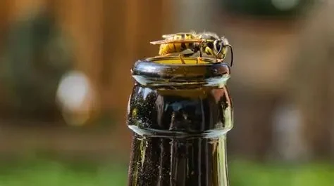 How to Keep Wasps Away From Outdoor Seating