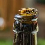 How to Keep Wasps Away From Outdoor Seating