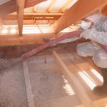 How to Treat Pest Infestations in Attic Insulation