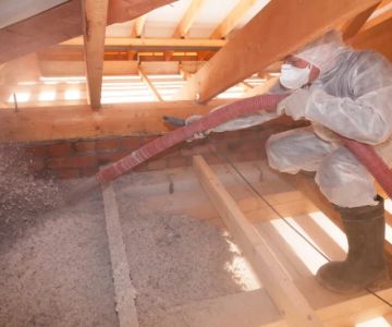 How to Treat Pest Infestations in Attic Insulation