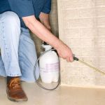 How to Monitor Pest Return After Treatment: Tips and Best Practices