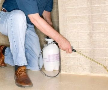 How to Monitor Pest Return After Treatment: Tips and Best Practices