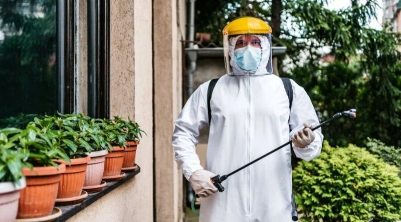 How to Choose Pest Control Frequency