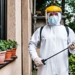How to Choose Pest Control Frequency