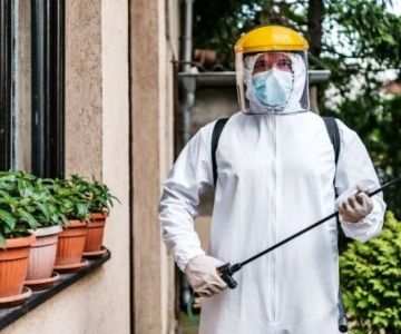 How to Choose Pest Control Frequency