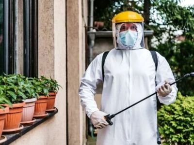 How to Choose Pest Control Frequency