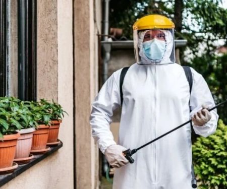 How to Choose Pest Control Frequency