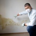 How to Plan Pest Control After Flood Damage