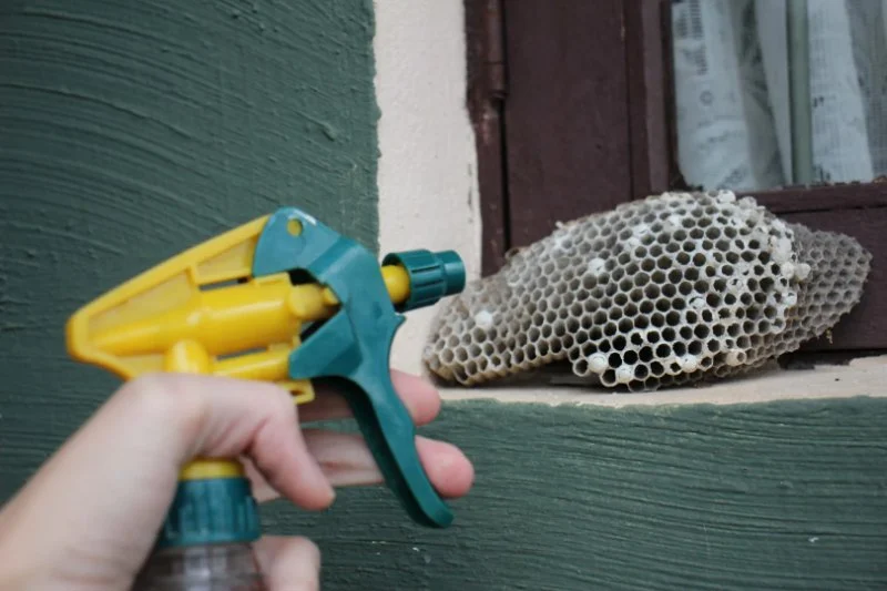 How to Keep Wasps Away From Garage Openings