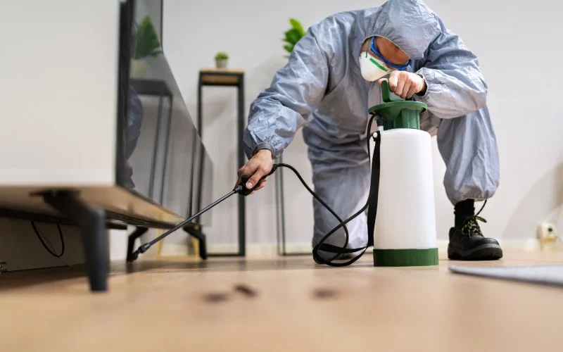 How to Choose Pest Control Based on Region - PestControlHub