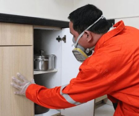 How to Monitor Pest Return After Rainy Seasons