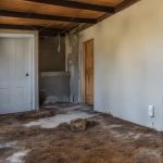 How to Repair Structural Damage Caused by Pests