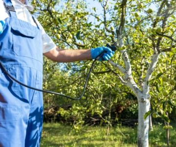 How to Use Barrier Treatments in Key Zones