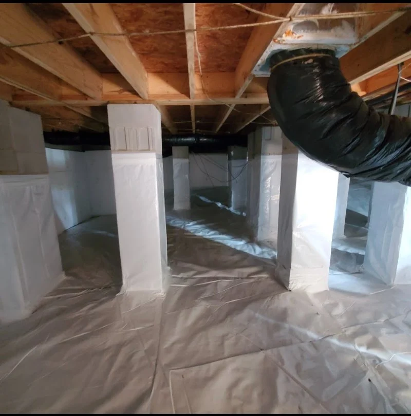 How to Keep Crawlspaces Ventilated & Pest-Resistant