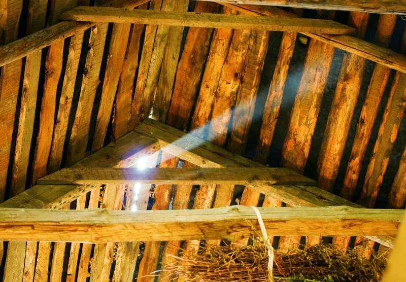 How to Keep Pests Out of Outbuildings