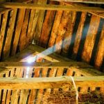 How to Keep Pests Out of Outbuildings