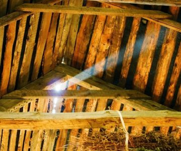 How to Keep Pests Out of Outbuildings