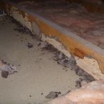 How to Detect Termites Under Slab Foundations