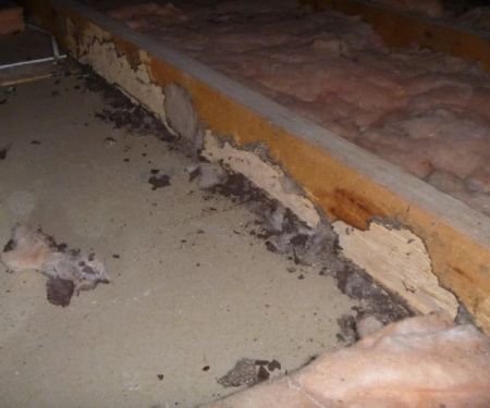 How to Detect Termites Under Slab Foundations