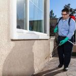 How to Mitigate Pest Liability in Real Estate Deals