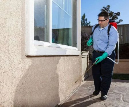 How to Mitigate Pest Liability in Real Estate Deals