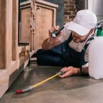 How to Monitor Pest Pressure Around Home - PestControlHub