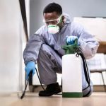 How to Handle Pest Damage Claims With Insurance