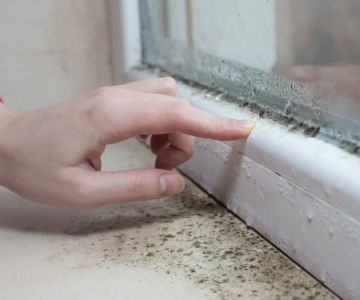 How to Seal Entry Points Before Winter