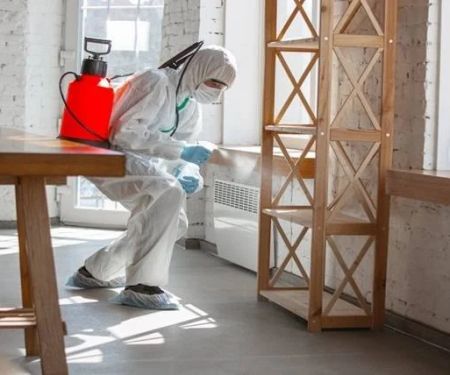 How to Use Smart Alerts After Treatment for Pest Control