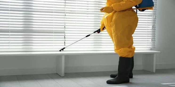 Why Pest Control Warranties Matter for Homeowners