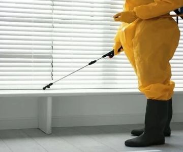 Why Pest Control Warranties Matter for Homeowners