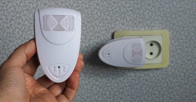 How to Use Smart Pest Detectors in Basements