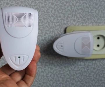 How to Use Smart Pest Detectors in Basements