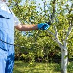 How to Use Targeted Barrier Treatments