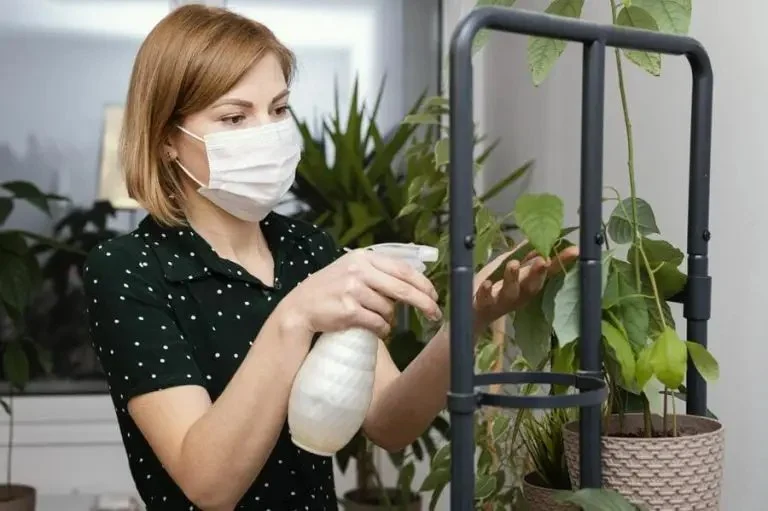 How to Use Low-Toxic Sprays Safely: A Comprehensive Guide for Homeowners