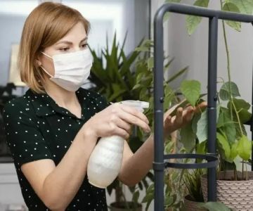 How to Use Low-Toxic Sprays Safely: A Comprehensive Guide for Homeowners