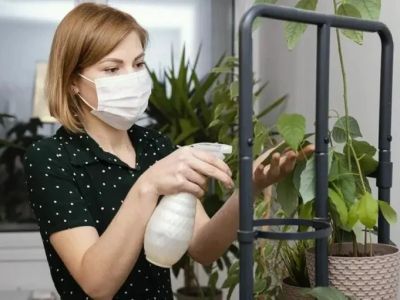 How to Use Low-Toxic Sprays Safely: A Comprehensive Guide for Homeowners